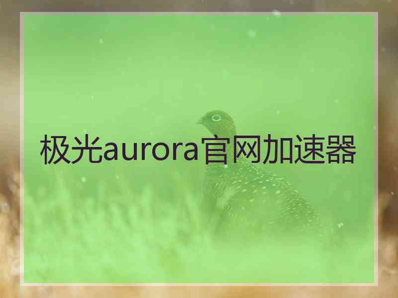 极光aurora官网加速器