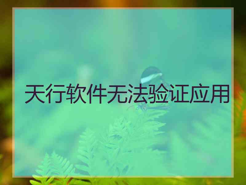 天行软件无法验证应用