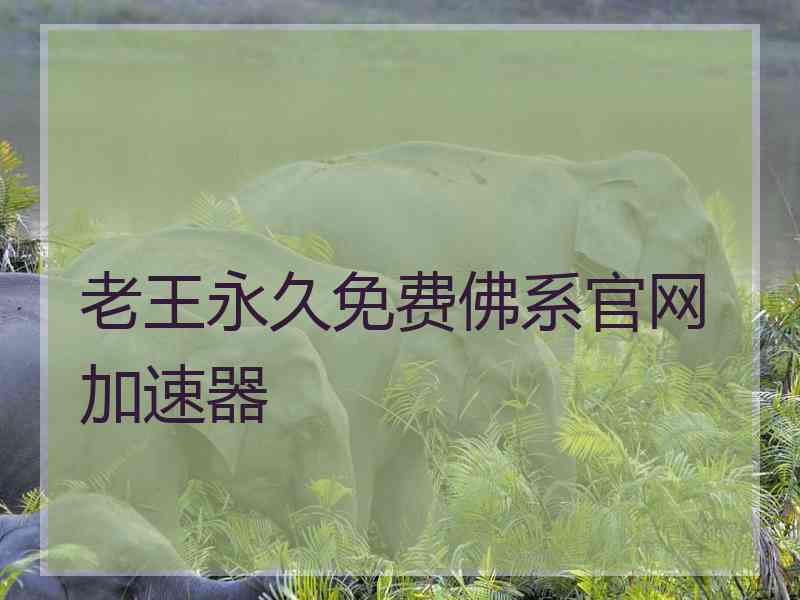 老王永久免费佛系官网加速器