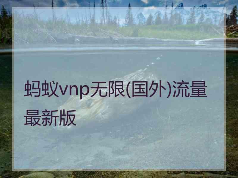 蚂蚁vnp无限(国外)流量最新版