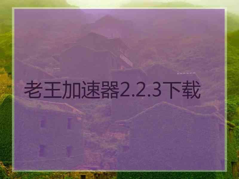 老王加速器2.2.3下载