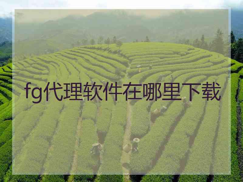 fg代理软件在哪里下载