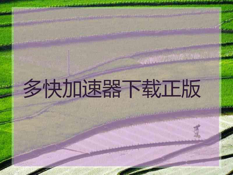 多快加速器下载正版