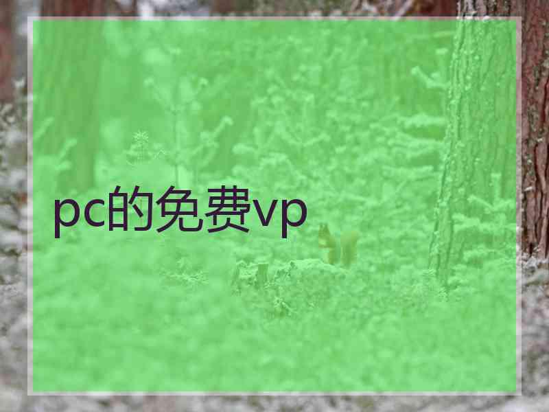 pc的免费vp