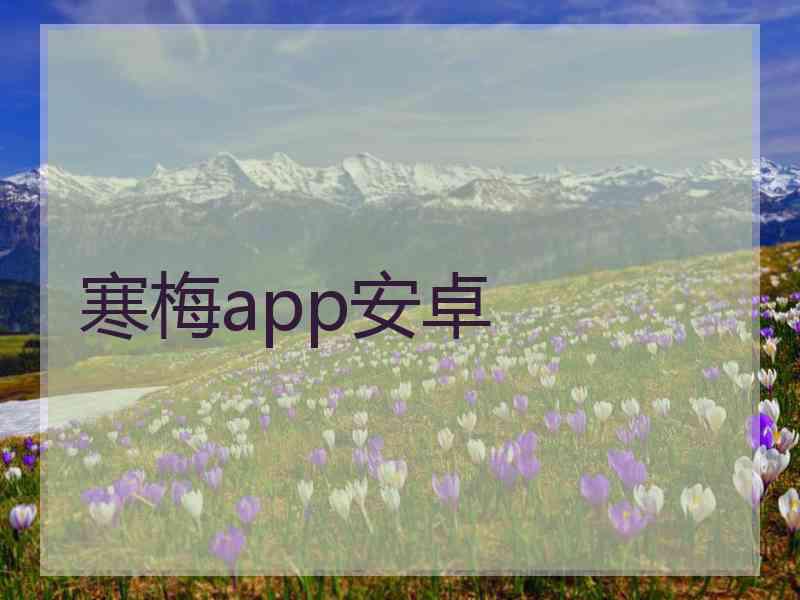 寒梅app安卓