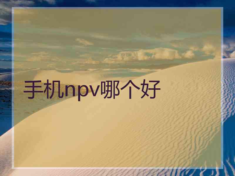 手机npv哪个好