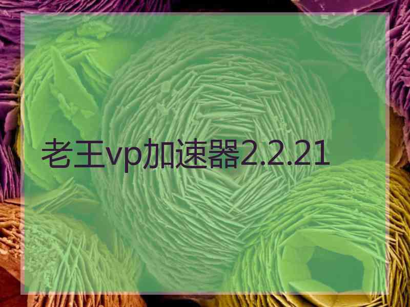 老王vp加速器2.2.21