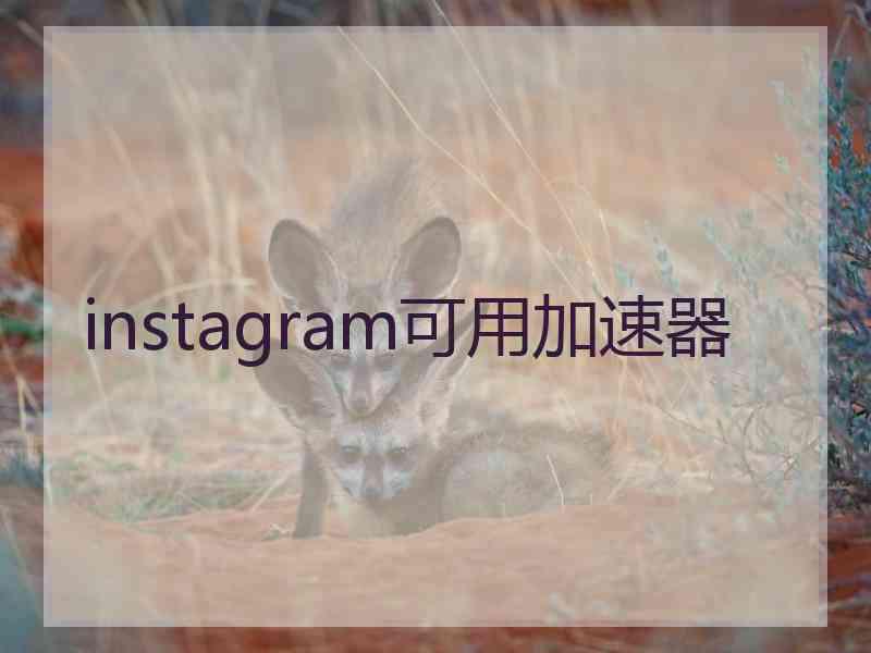 instagram可用加速器