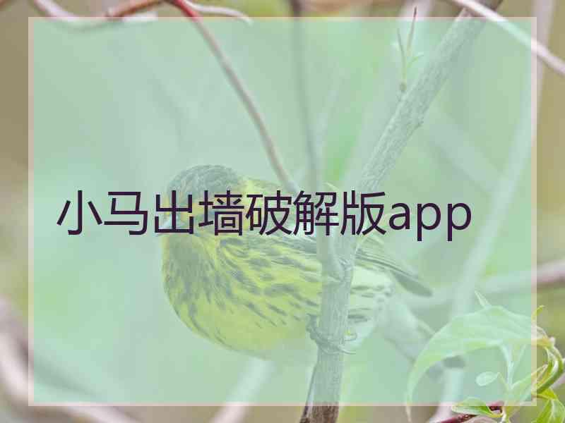 小马出墙破解版app