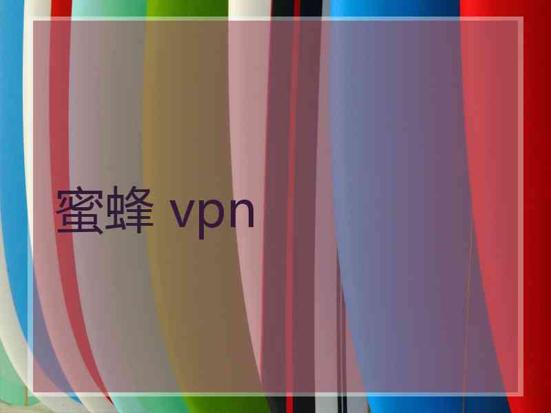 蜜蜂 vpn