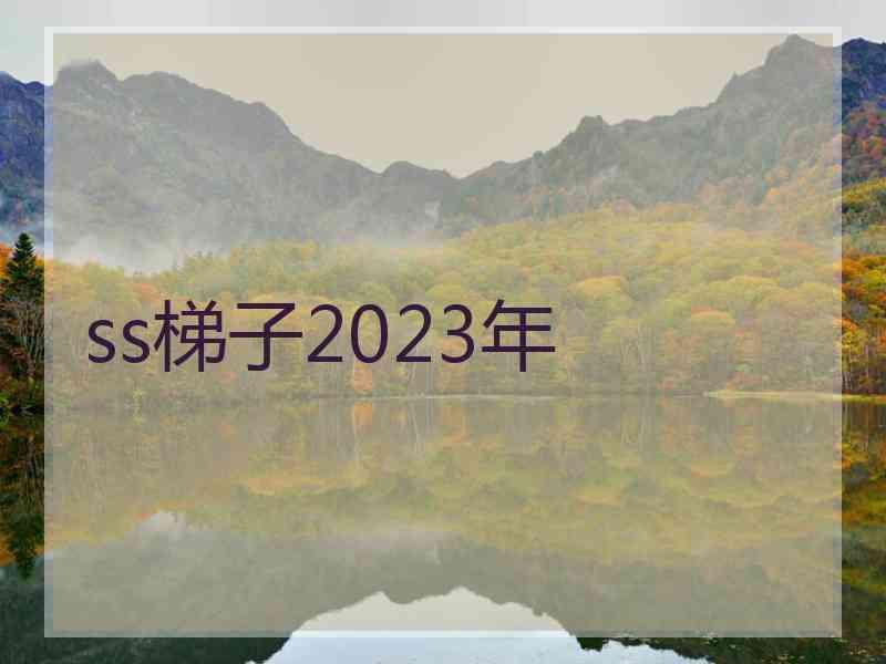 ss梯子2023年