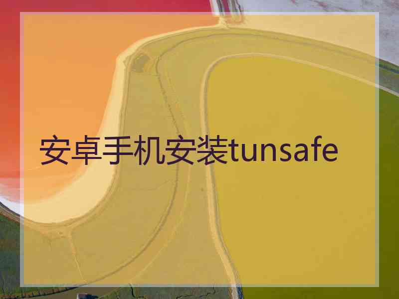 安卓手机安装tunsafe