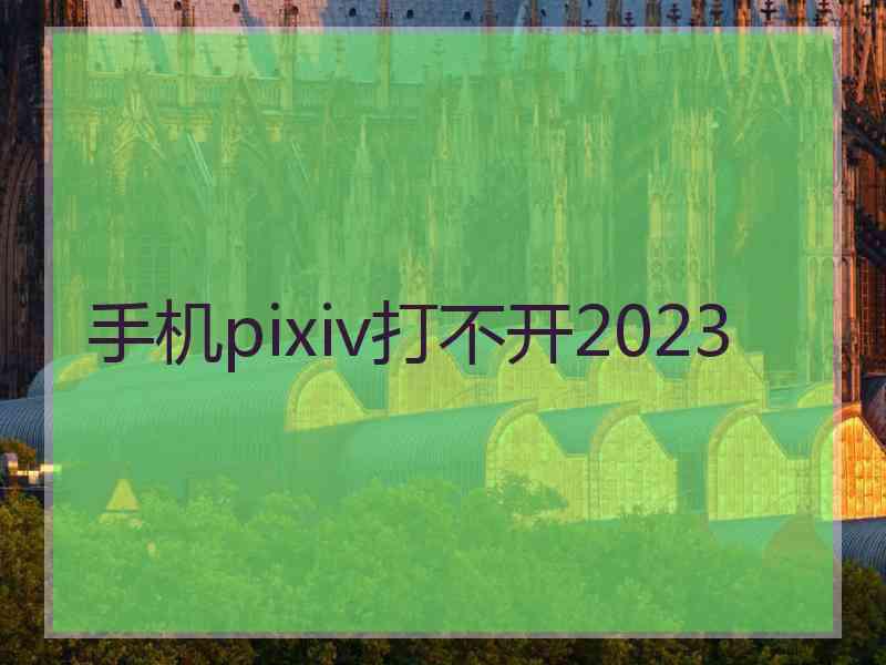 手机pixiv打不开2023