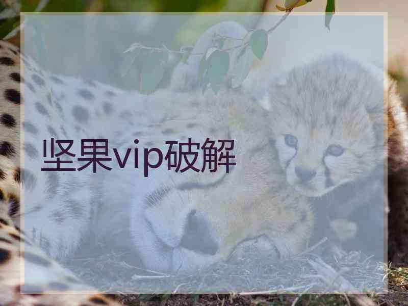 坚果vip破解