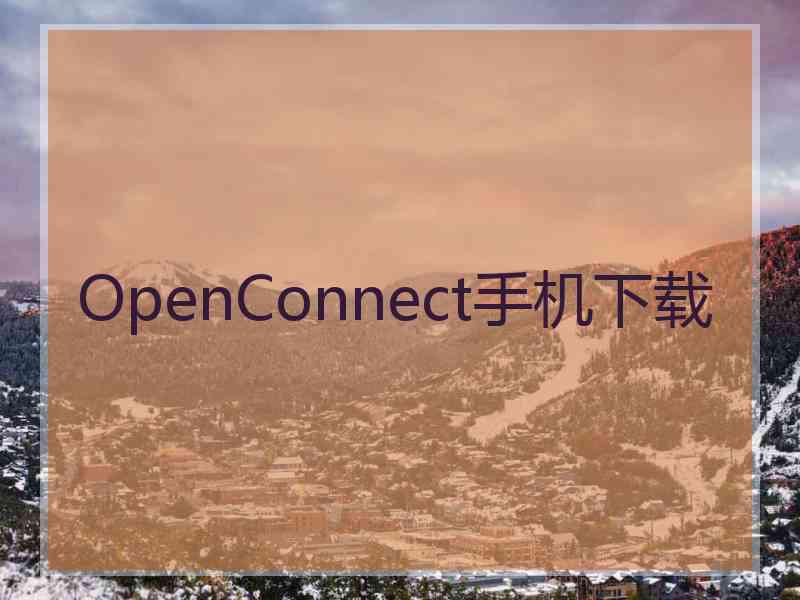 OpenConnect手机下载