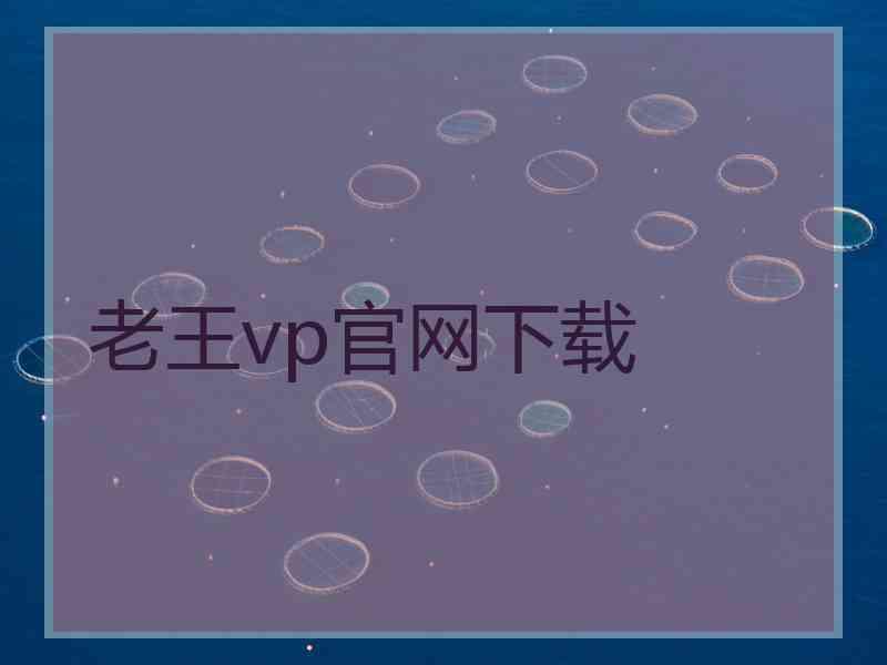 老王vp官网下载