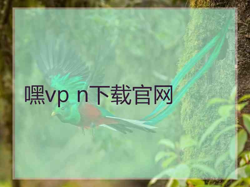 嘿vp n下载官网