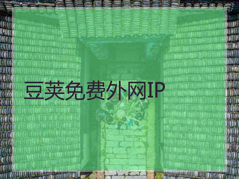 豆荚免费外网IP