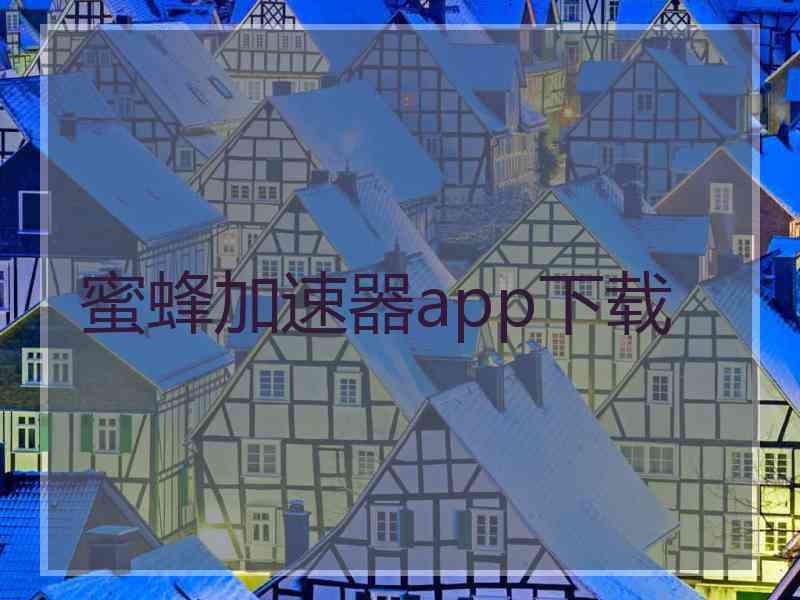 蜜蜂加速器app下载