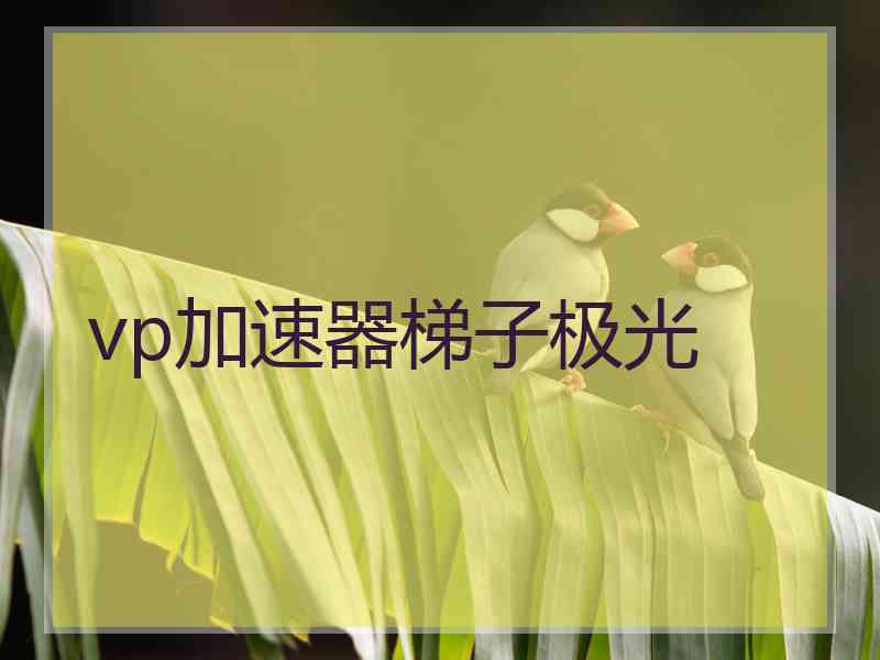 vp加速器梯子极光