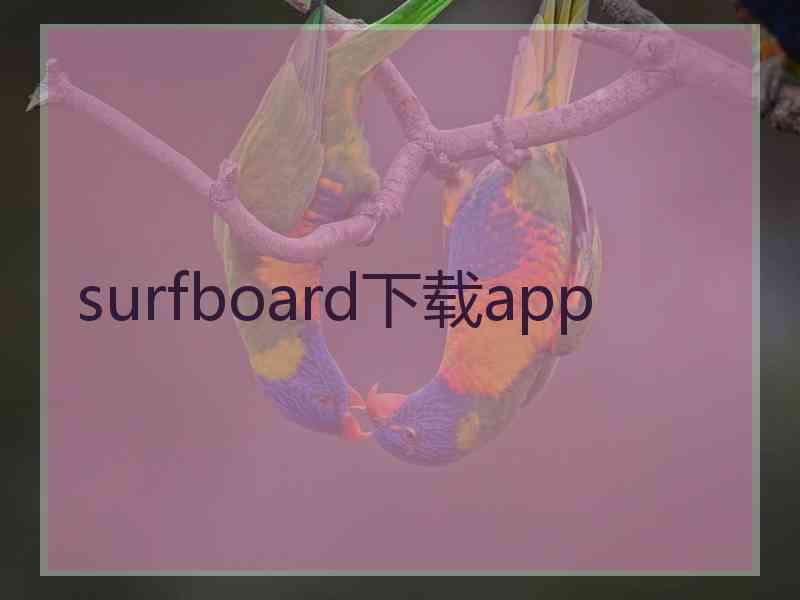 surfboard下载app