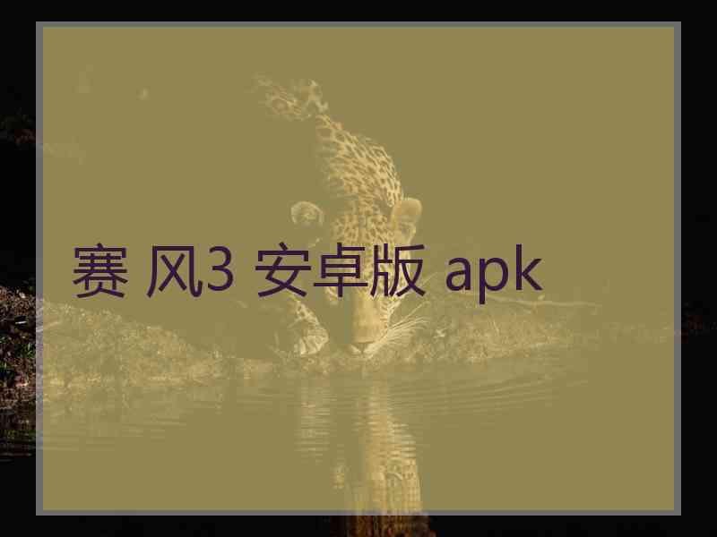 赛 风3 安卓版 apk