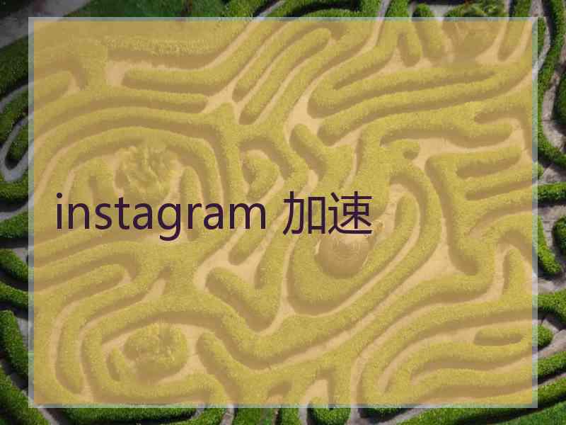 instagram 加速