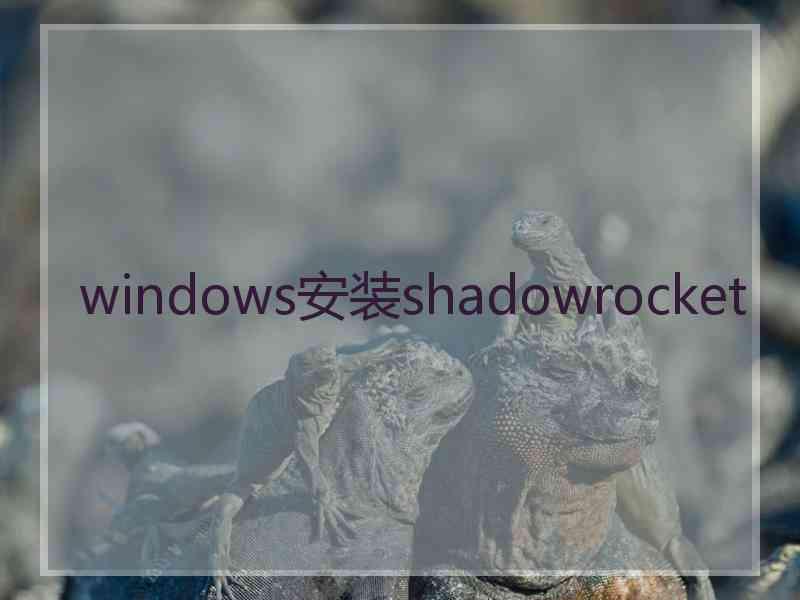 windows安装shadowrocket