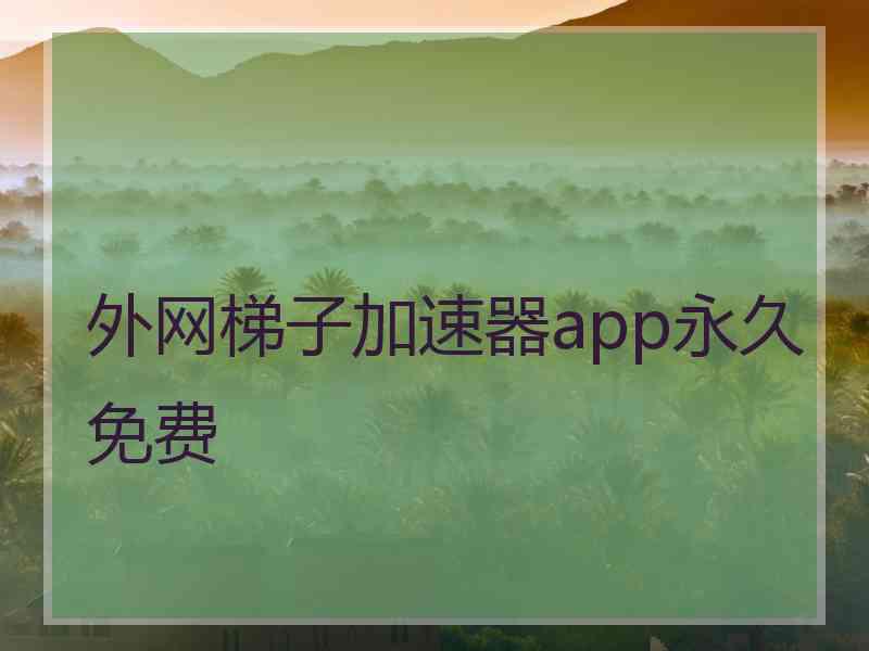 外网梯子加速器app永久免费