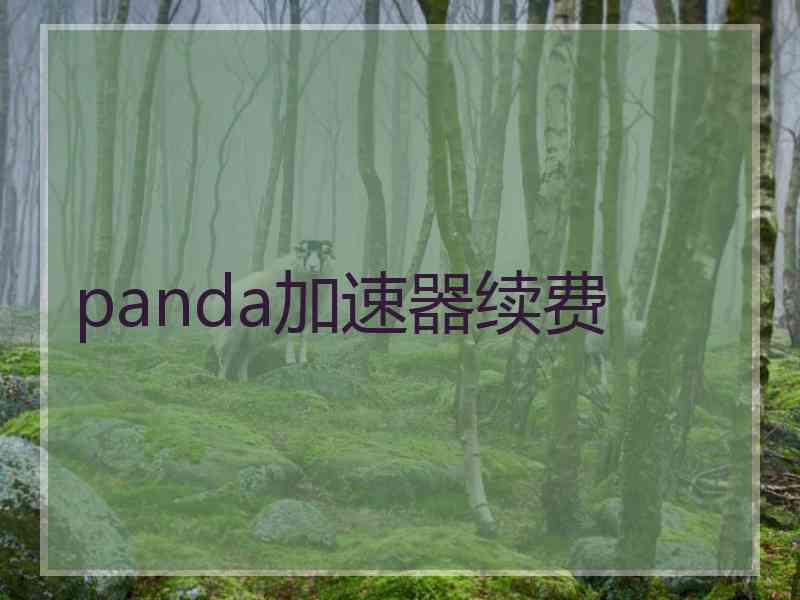 panda加速器续费