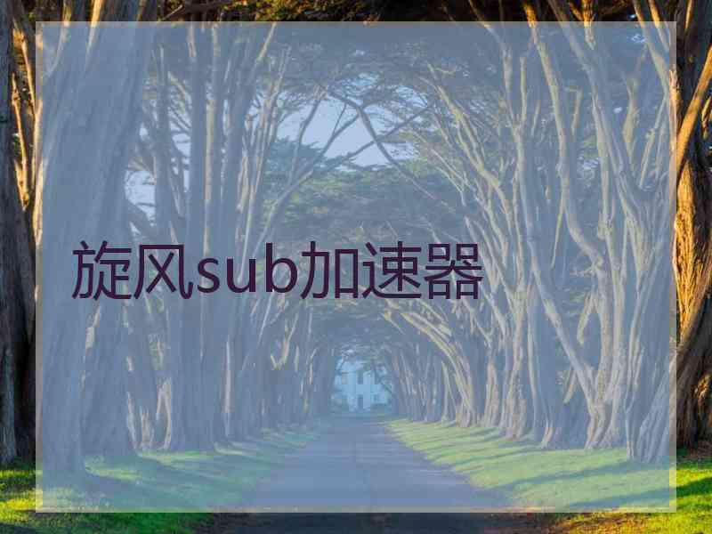 旋风sub加速器