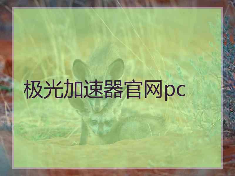 极光加速器官网pc