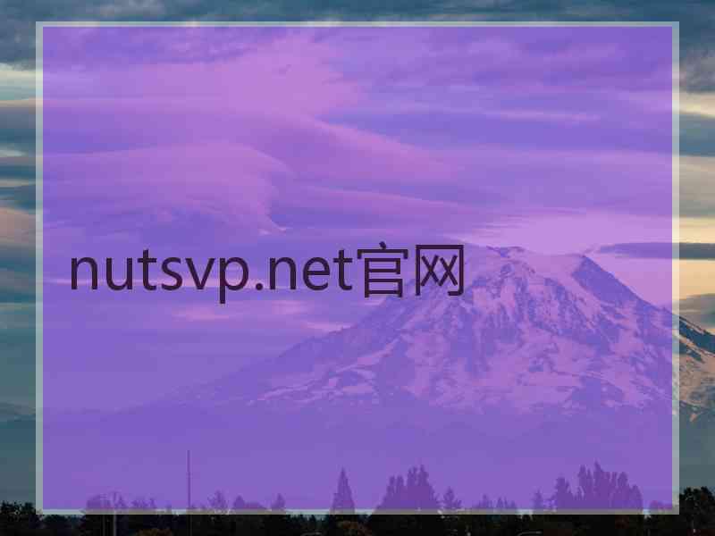 nutsvp.net官网