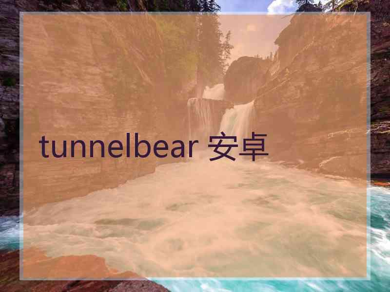 tunnelbear 安卓