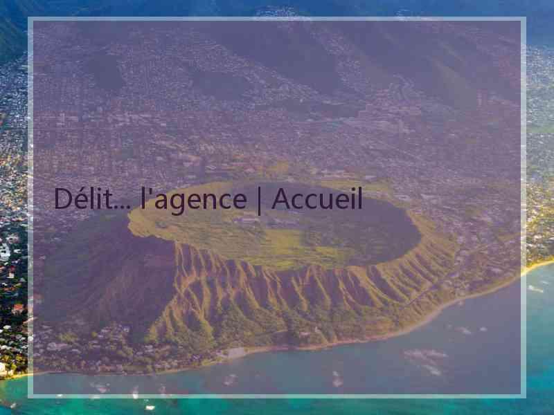 Délit... l'agence | Accueil