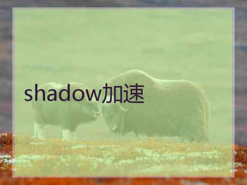 shadow加速