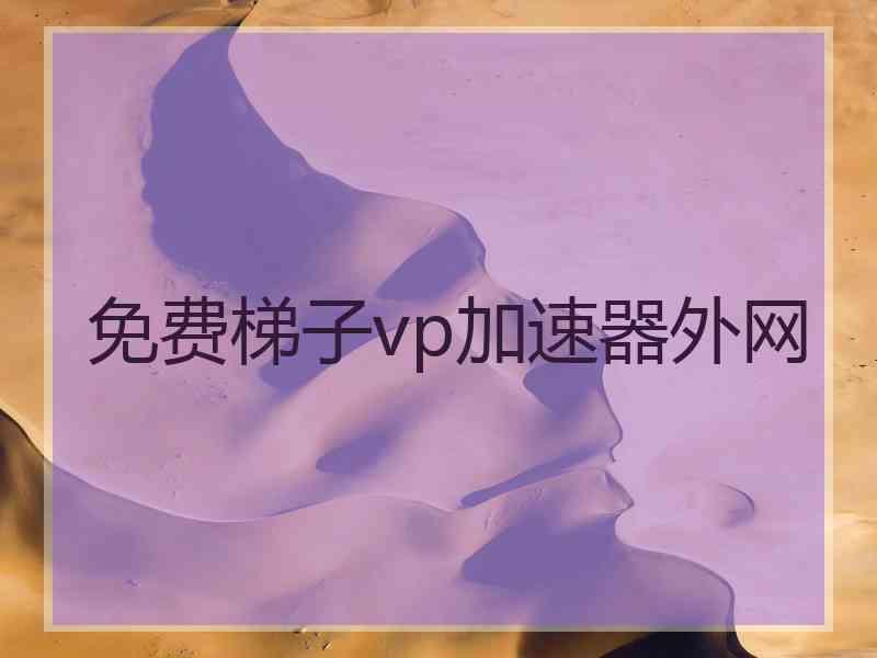 免费梯子vp加速器外网