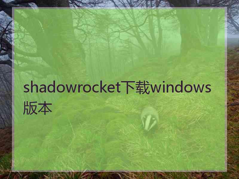 shadowrocket下载windows版本