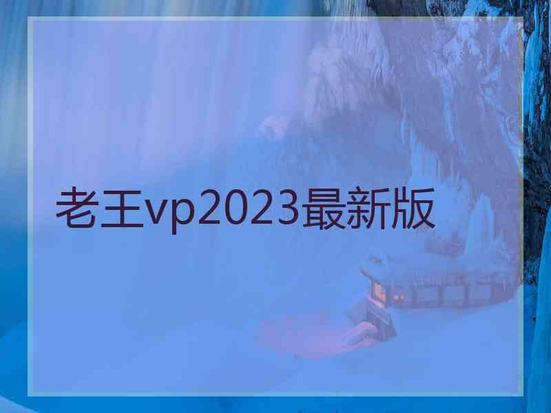 老王vp2023最新版