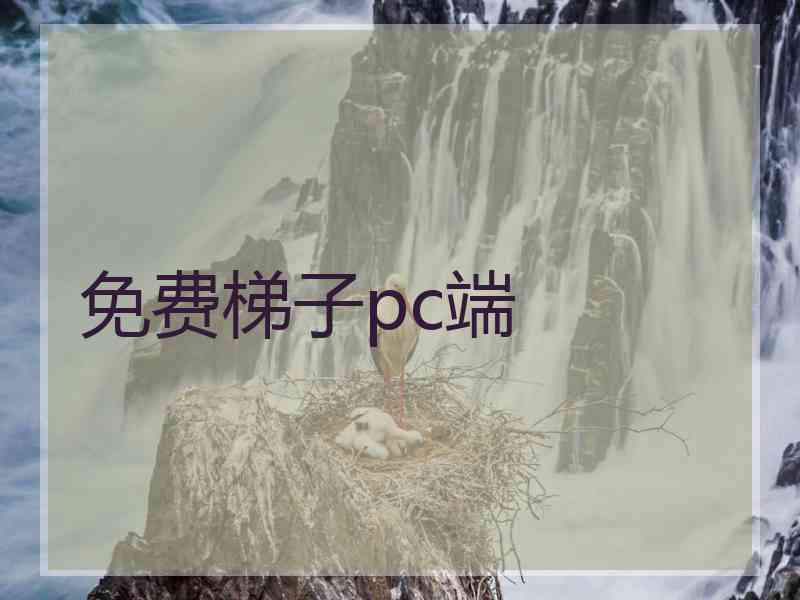 免费梯子pc端