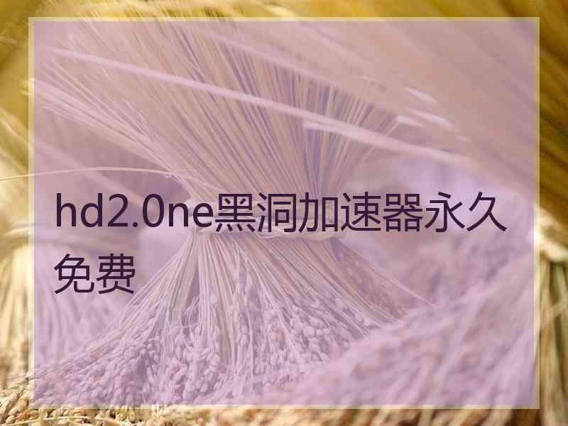 hd2.0ne黑洞加速器永久免费