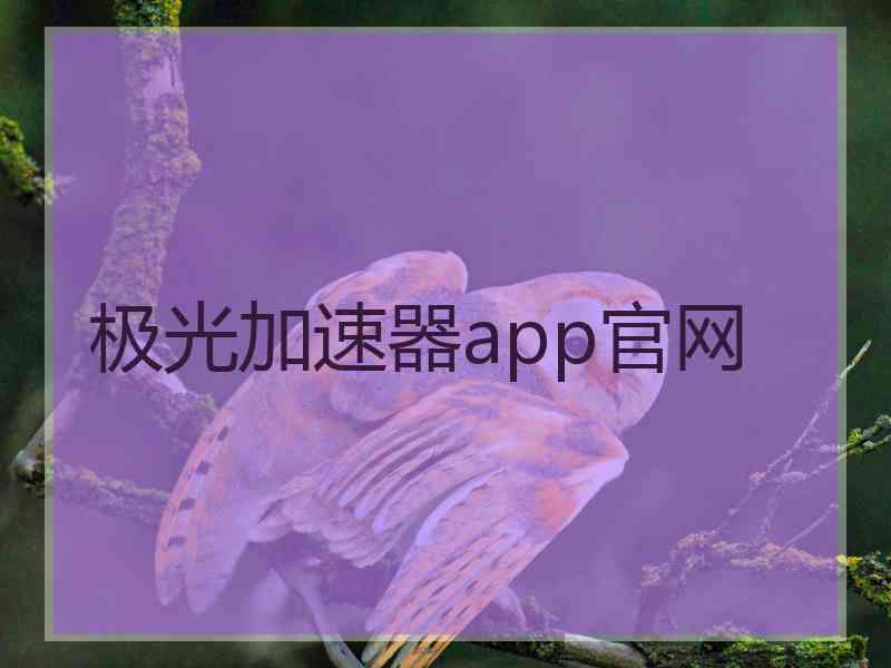 极光加速器app官网