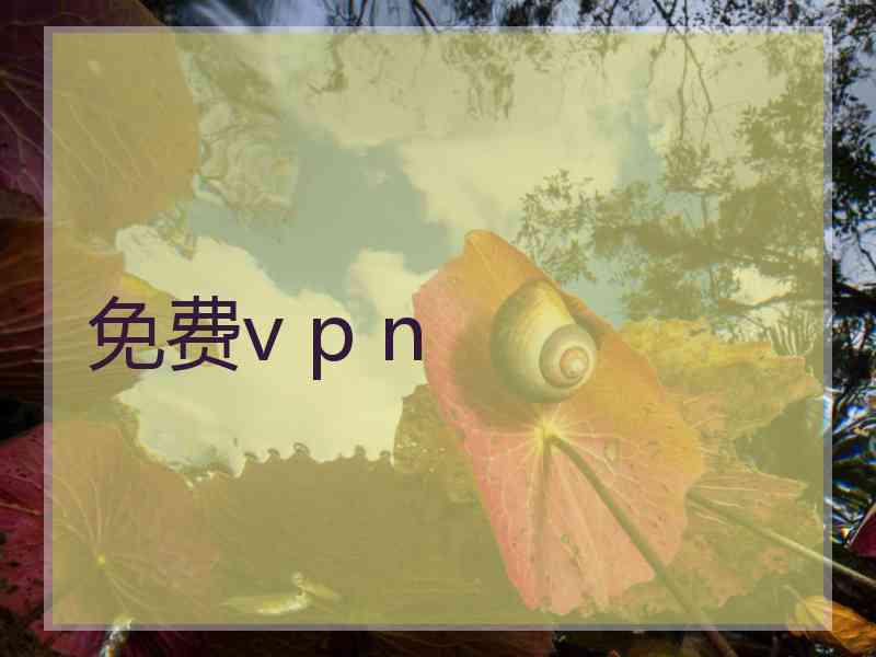 免费v p n