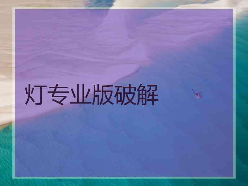 灯专业版破解