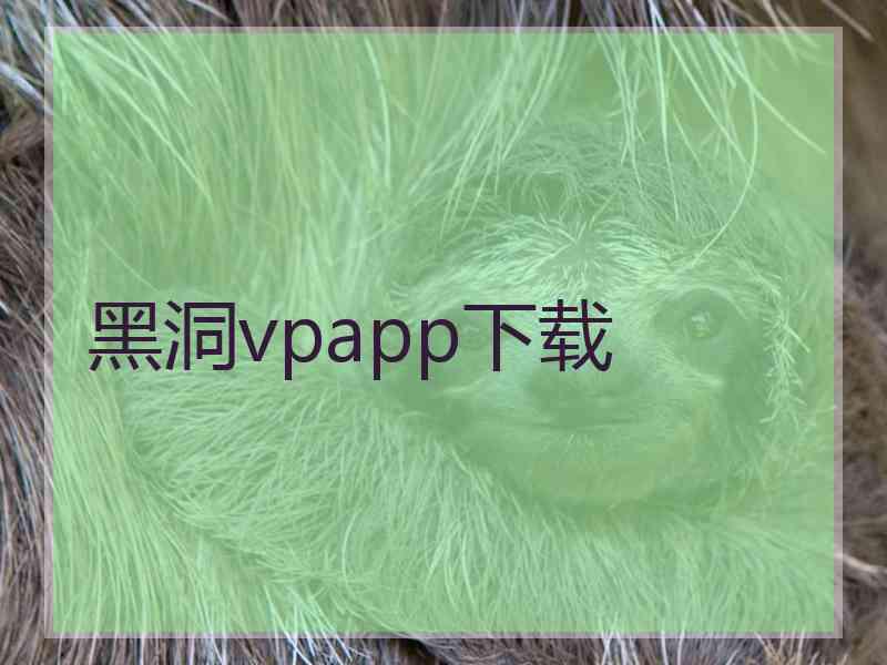 黑洞vpapp下载