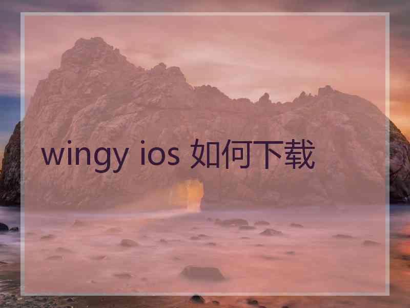 wingy ios 如何下载