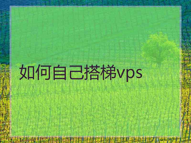 如何自己搭梯vps