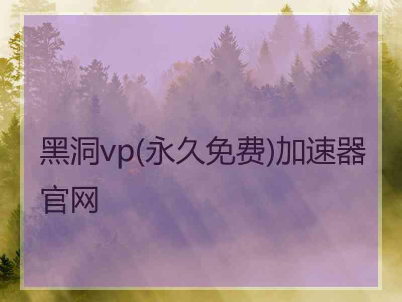 黑洞vp(永久免费)加速器官网