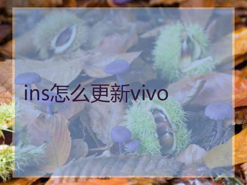 ins怎么更新vivo