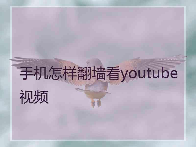 手机怎样翻墙看youtube视频